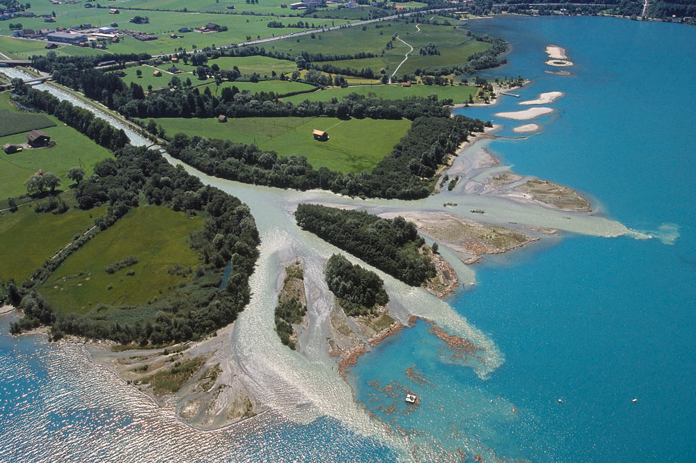 Delta de la Reuss