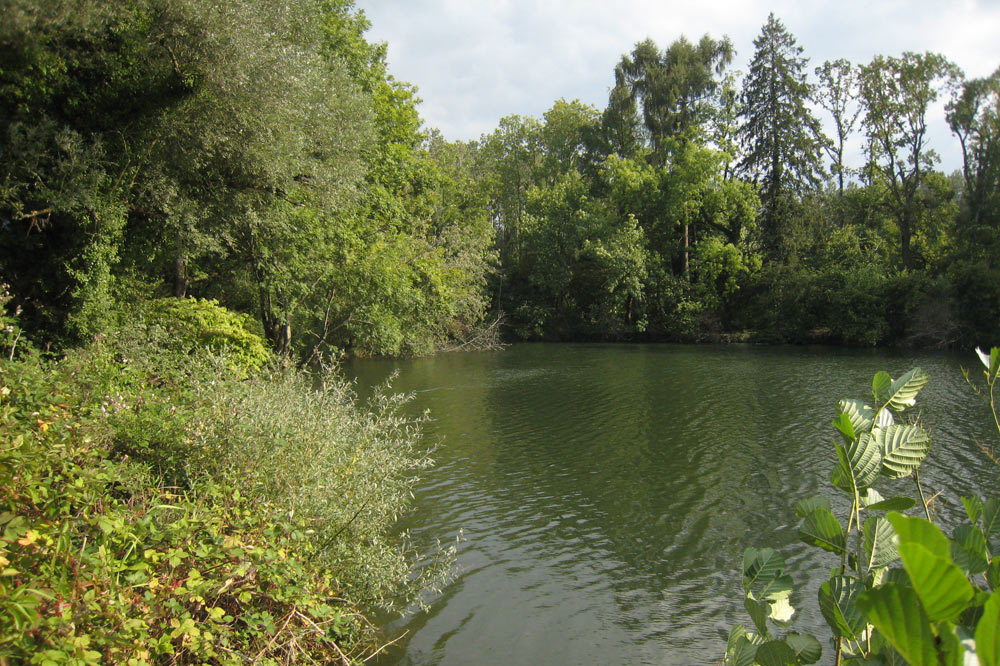 Etang aux Grangettes