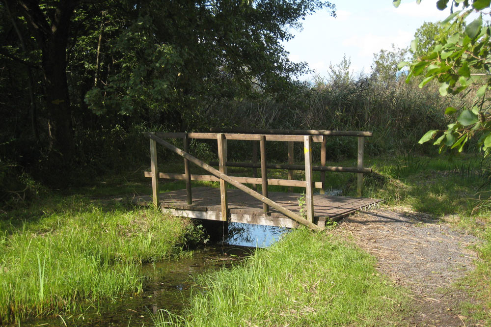 Petit pont sur un ancien canal de drainage