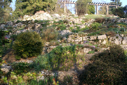 Jardin botanique de Lausanne