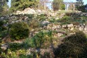 Jardin botanique de Lausanne