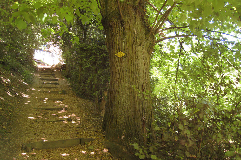 Escaliers entre la Riponne et l'Hermitage