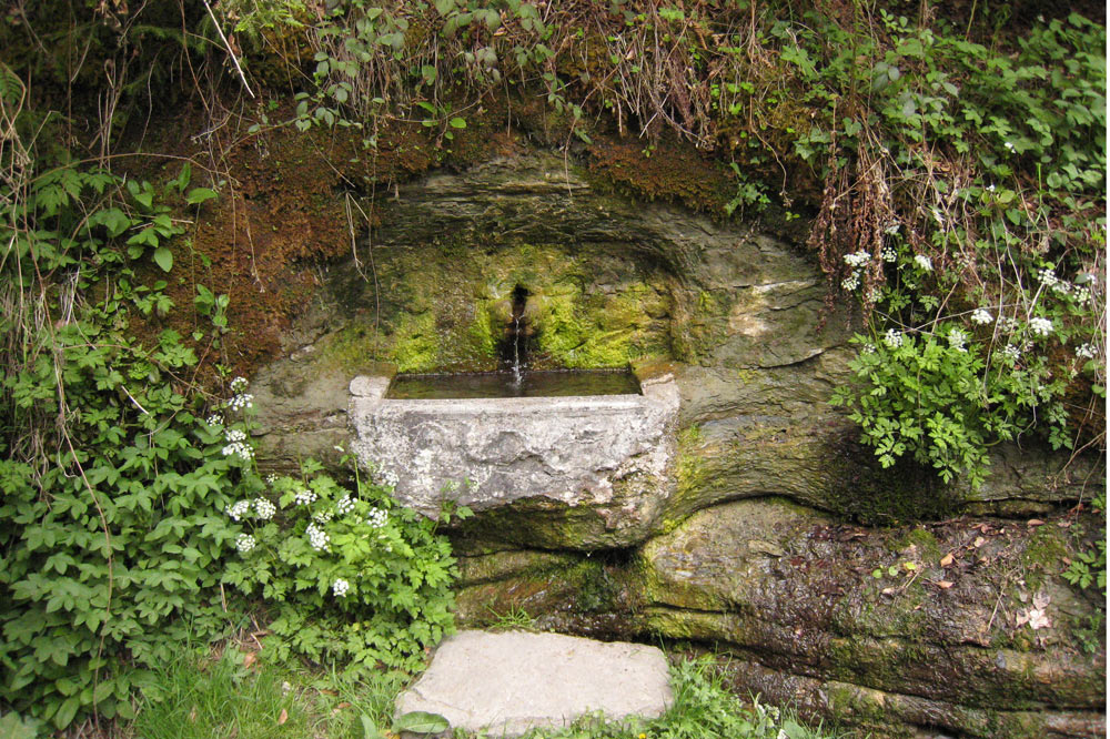 Fontaine dans les bois du Jorat