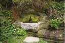 Fontaine dans les bois du Jorat