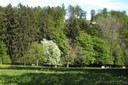 Pâturage et verger sur les hauts de Lausanne