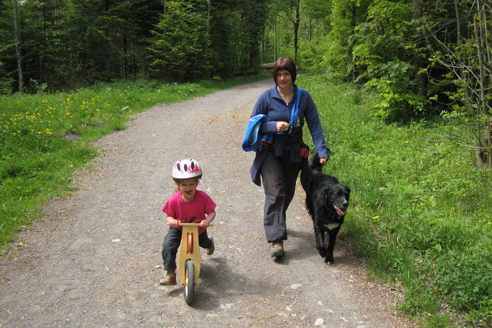 Promenade dans les bois du Jorat