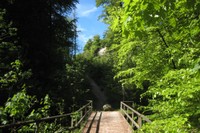 Pont sur le Flon