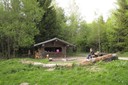 Un forêt de loisirs