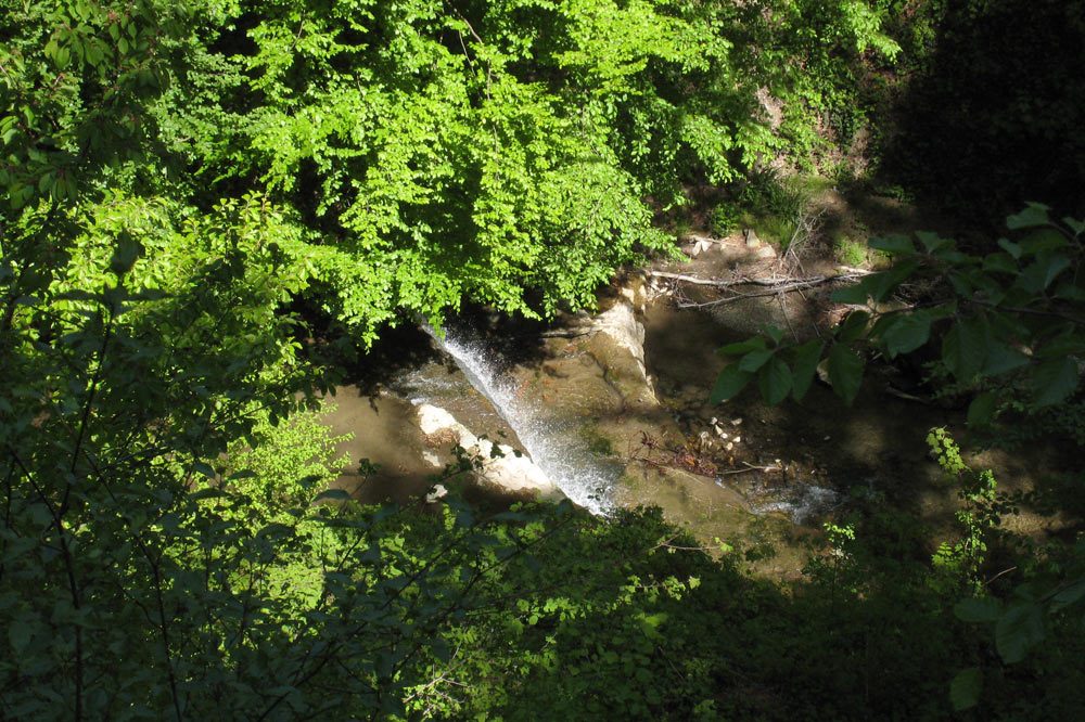 Vue sur le Flon