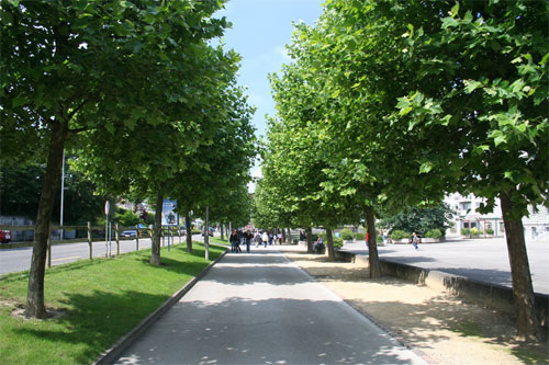 Avenue de la promenade