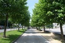 Avenue de la promenade