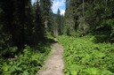 Chemin des ponts