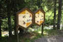 Panneau didactique du sentier des abeilles