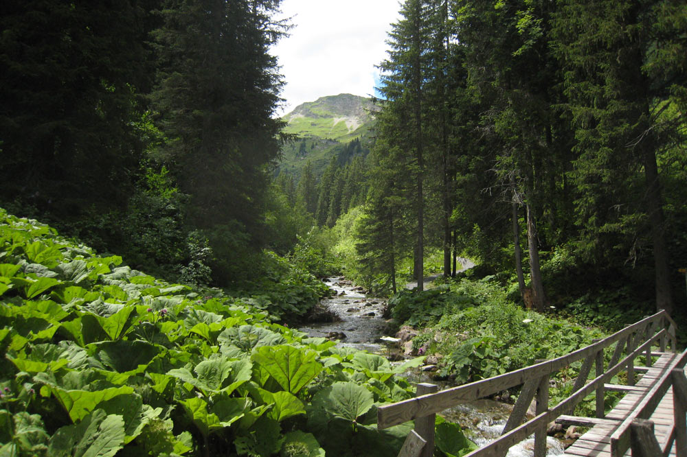 Sentier des ponts de Morgins