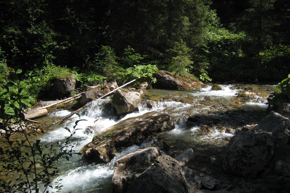 Vièze de Morgins