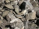 Blocs charries par le torrent