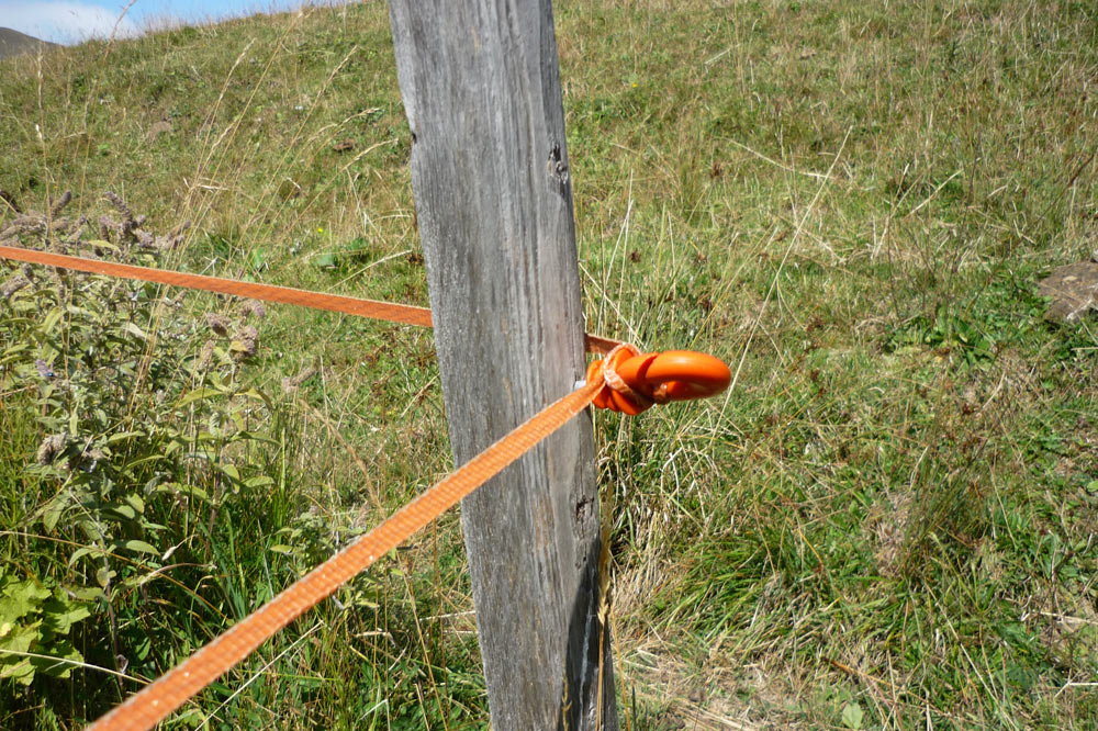 Certains agriculteurs remplacent les barbelés par des fils électrifiés