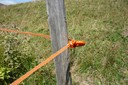 Certains agriculteurs remplacent les barbelés par des fils électrifiés