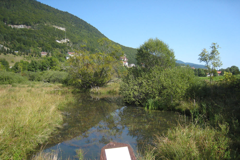 Etang du Grand Morcel