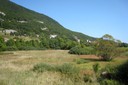 Marais du Grand-Morcel