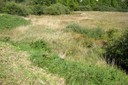Prairie de fauche