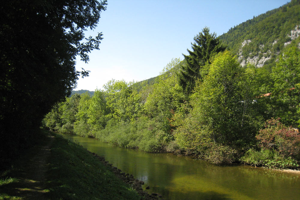 La rivière "Orbe"