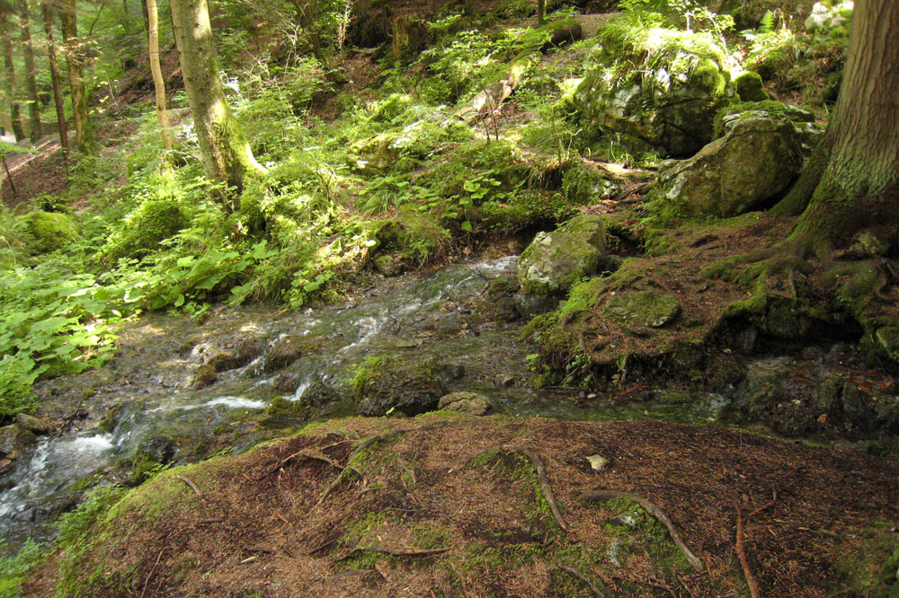 Ruisseau coulant sur de la moraine