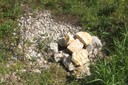Tas de pierre favorisant la présence de reptiles