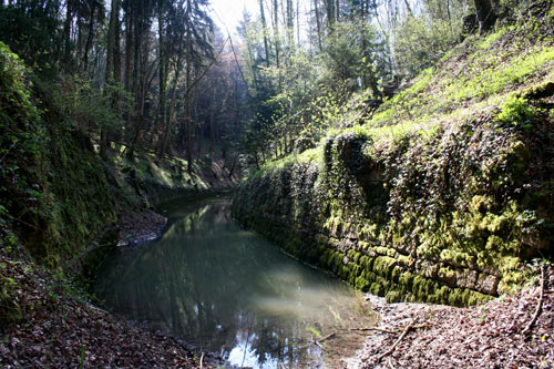 Vestiges du canal d'Entreroches