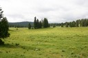 Alpage du Vermeilley