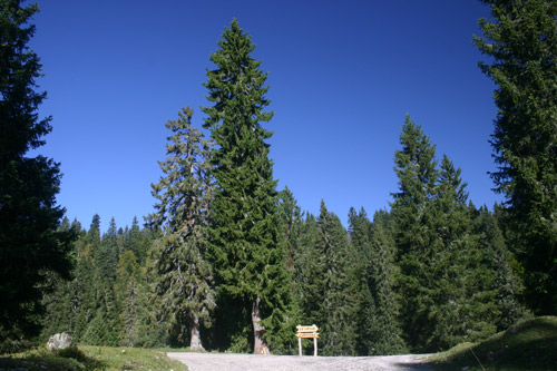 Croisée de chemins