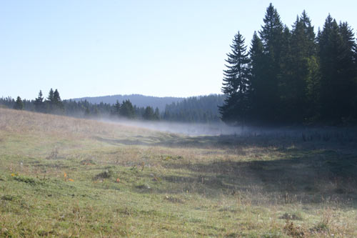 Brume matinale sur le Jura