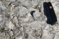 Roches calcaires autour des «Pralets»