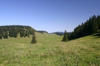 Combe anticlinale des Begnines