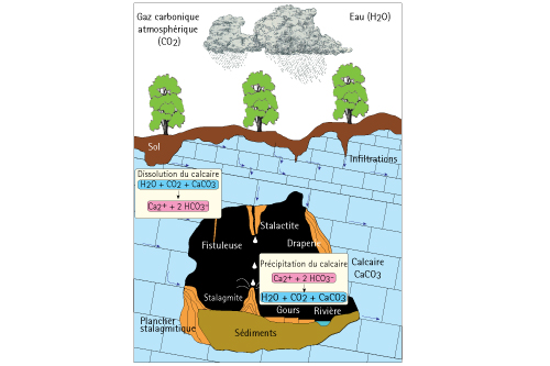 La dissolution chimique des calcaires