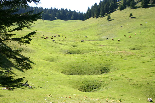 Dolines dans la combe des Begnines