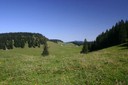 La Combe des Begnines