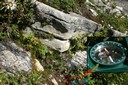 Inclinaison (pendage) des roches du poste 6