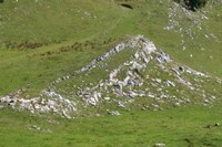 Structure des roches de l'Arzière