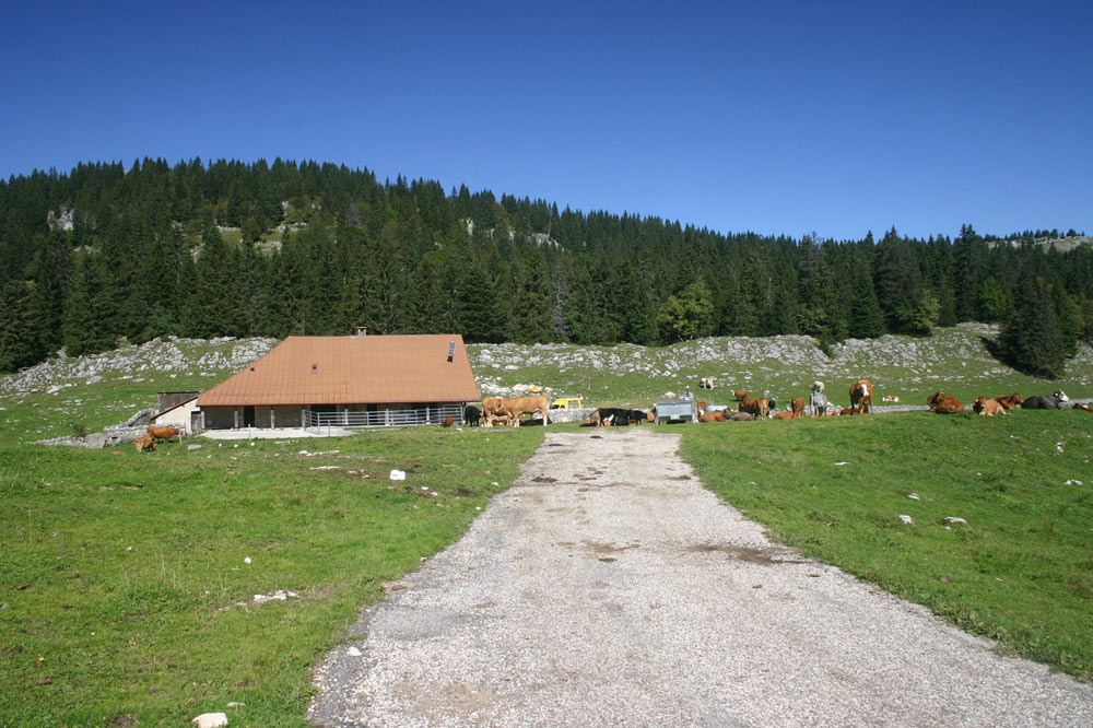 L'Arzière