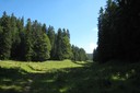 Alpage situé en dessosu de la forêt des Gilles