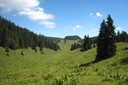 Combe de la Valouse